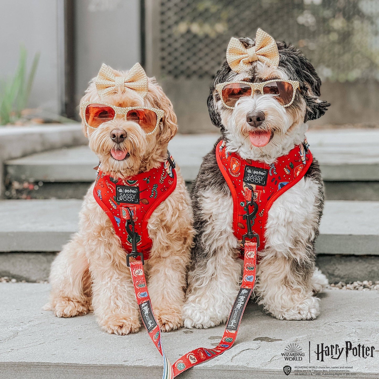 Dog Leash - Harry Potter™