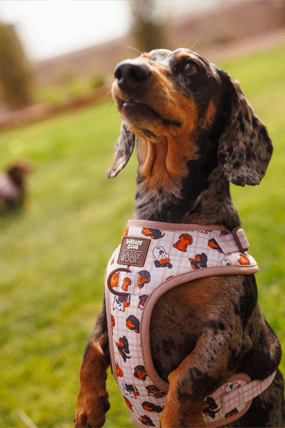 Dog Adjustable Harness - Weens Club