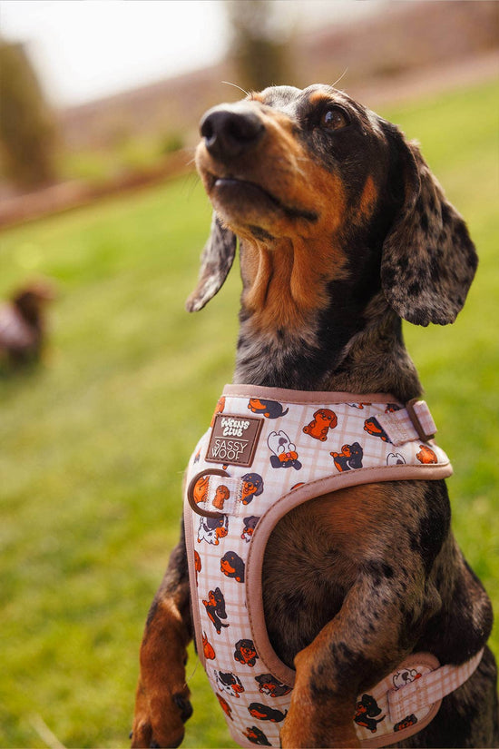 Dog Adjustable Harness - Weens Club