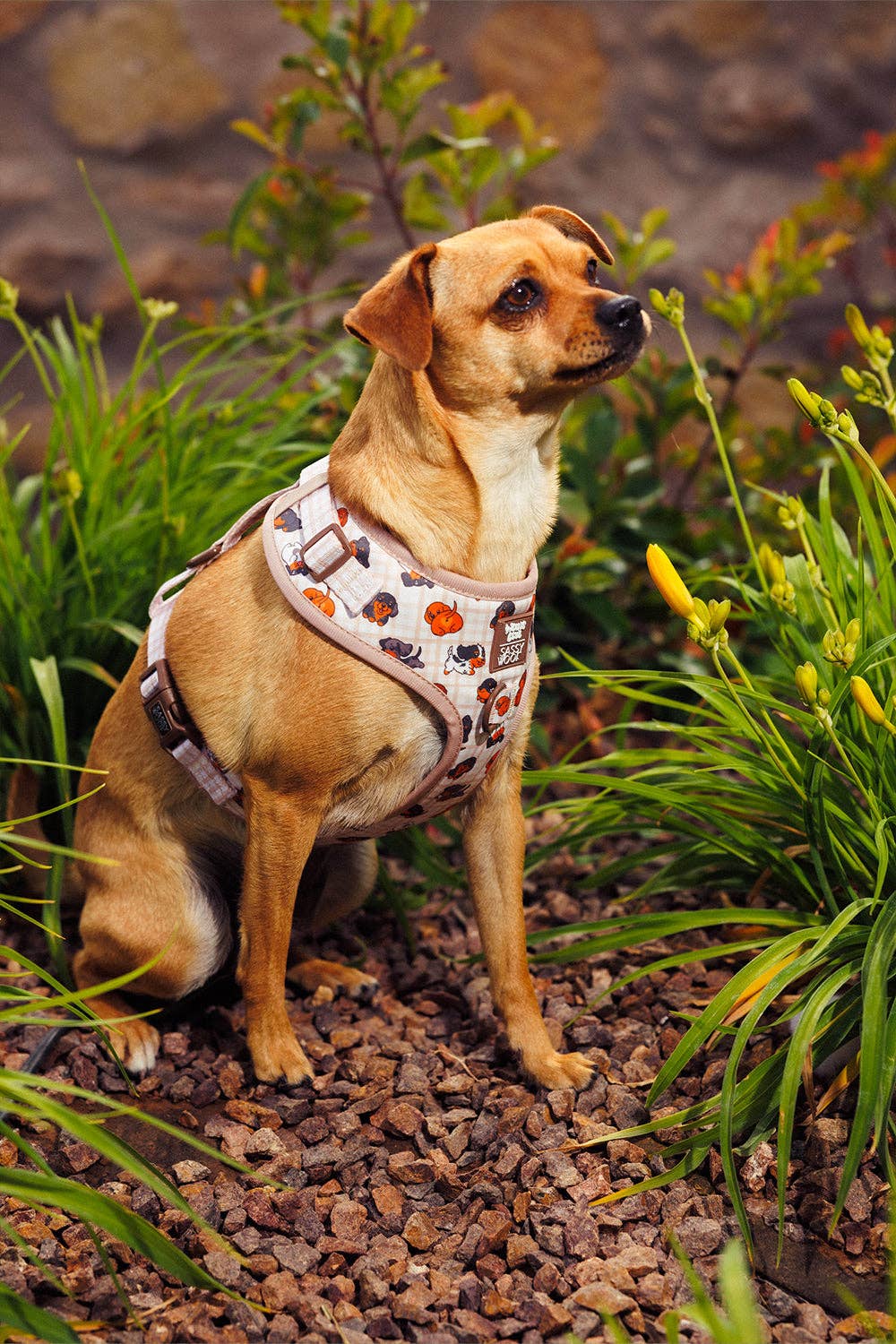 Dog Adjustable Harness - Weens Club