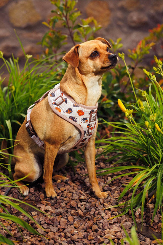 Dog Adjustable Harness - Weens Club
