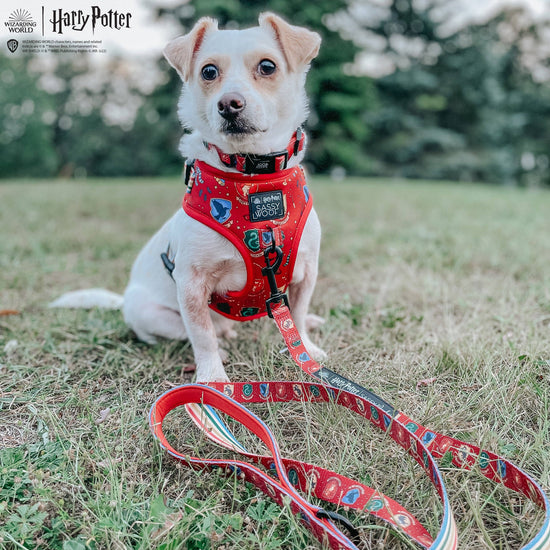 Dog Leash - Harry Potter™