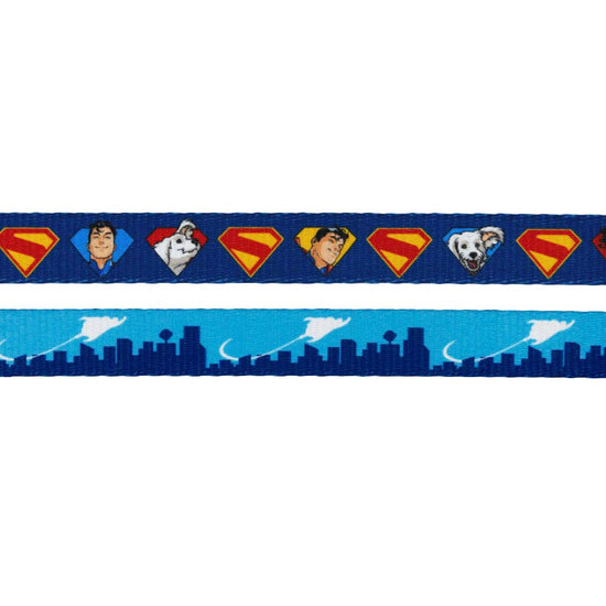 Dog Leash - Superman™ & Krypto™
