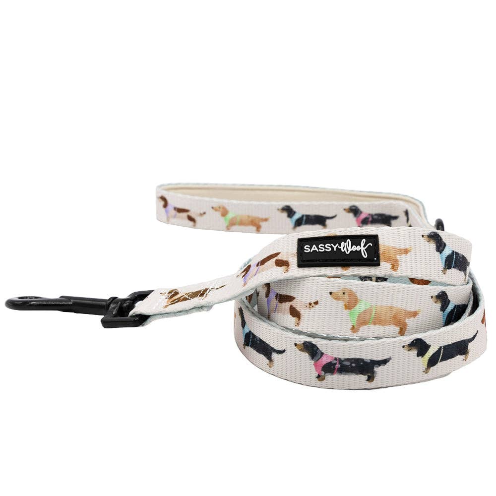 Dog Leash - Dainty Dachshunds