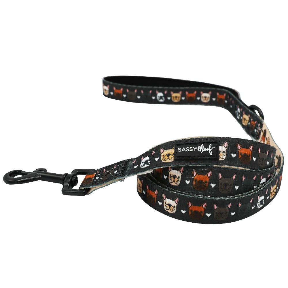 Fabric Leash - Fab Frenchies