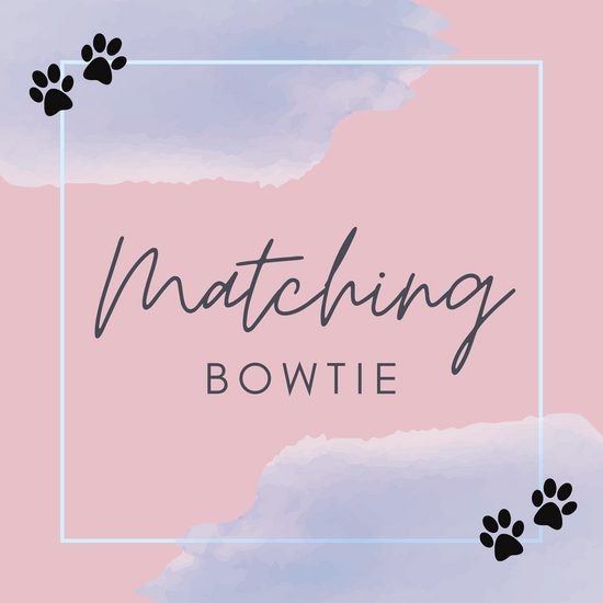 Matching Bowtie