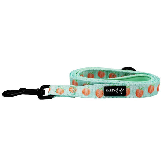 Dog Leash - Peach Please