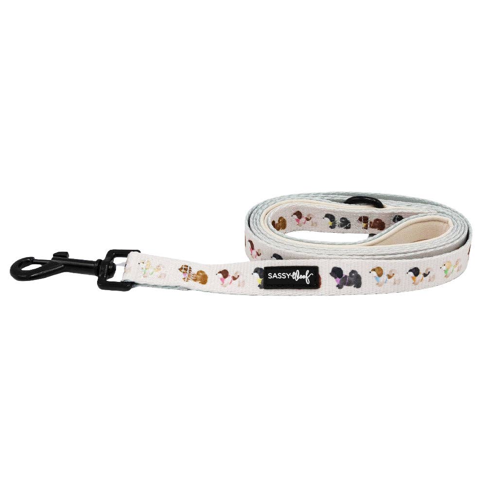 Dog Leash - Spunky Shih Tzus