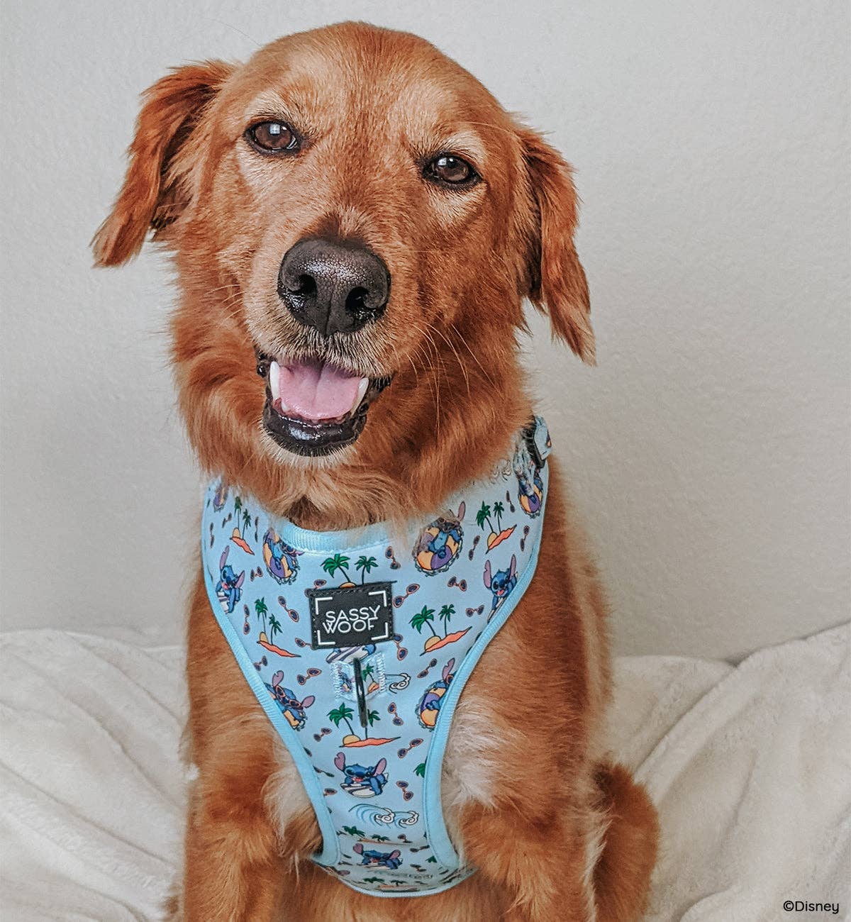 Dog Adjustable Harness - Disney's Stitch