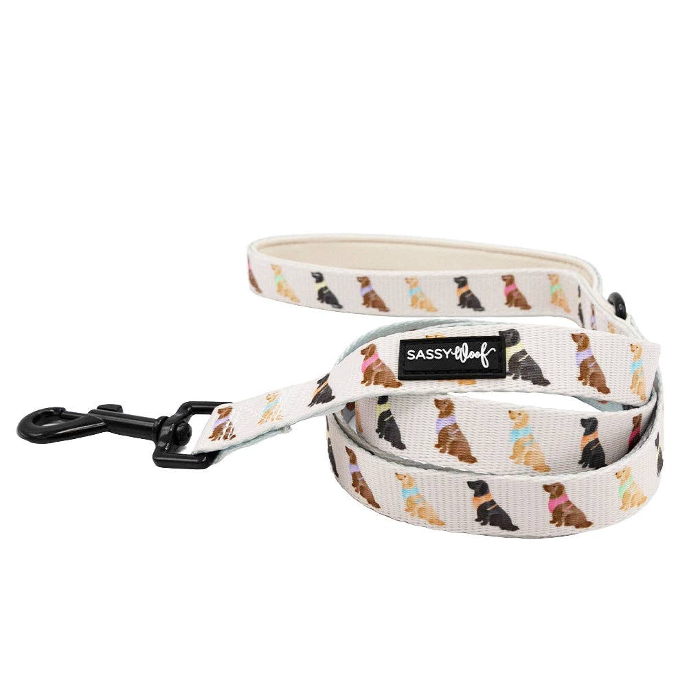 Dog Leash - Loyal Labradors