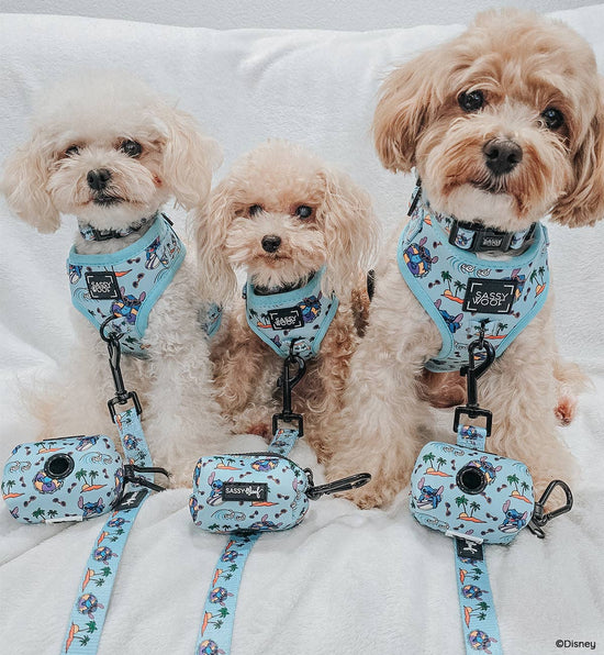 Dog Adjustable Harness - Disney's Stitch