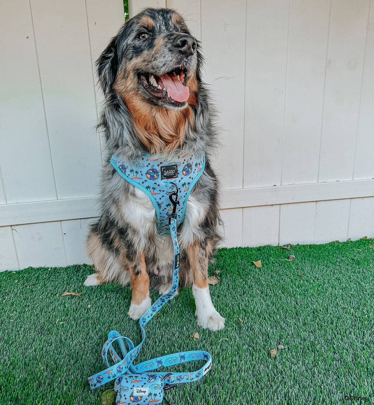 Dog Leash -  Disney's Stitch