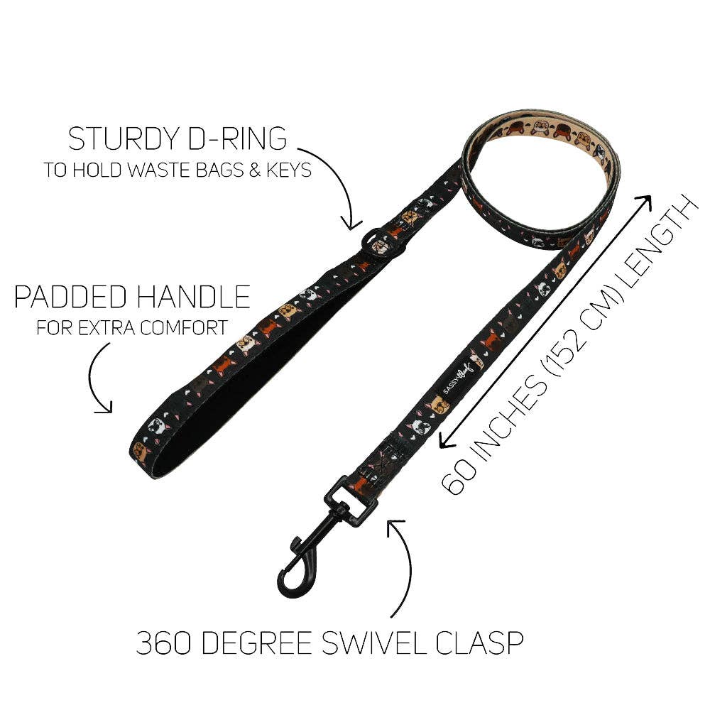 Fabric Leash - Fab Frenchies