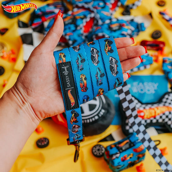 Dog Fabric Leash - Hot Wheels