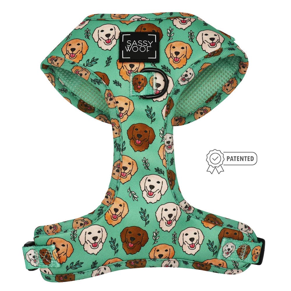 Adjustable Harness - Glam Goldens