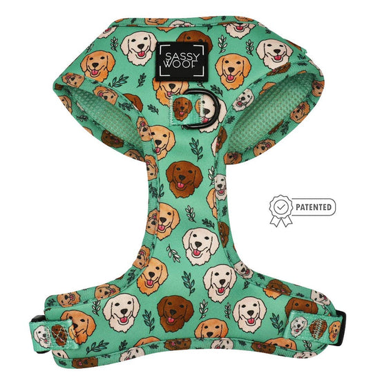 Adjustable Harness - Glam Goldens