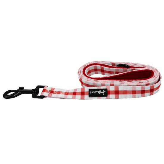 Dog Fabric Leash - Picnic Fur Two