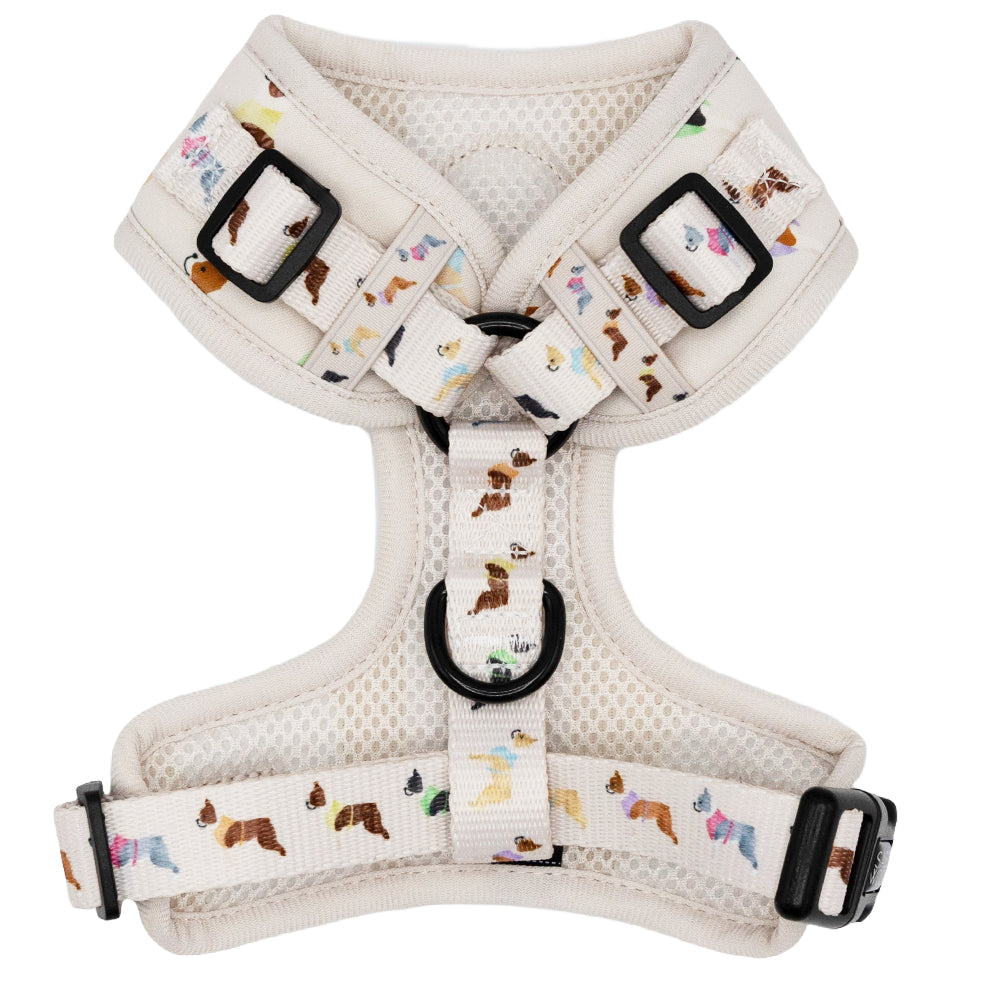 Dog Adjustable Harness - Bold Boston Terriers