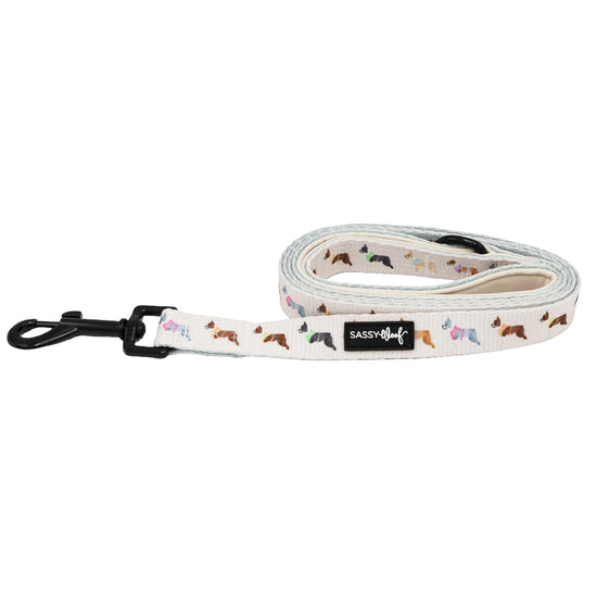 Dog Fabric Leash - Bold Boston Terriers