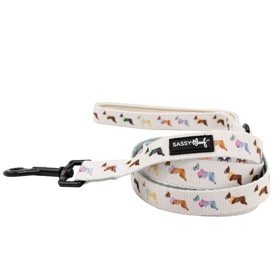 Dog Fabric Leash - Bold Boston Terriers