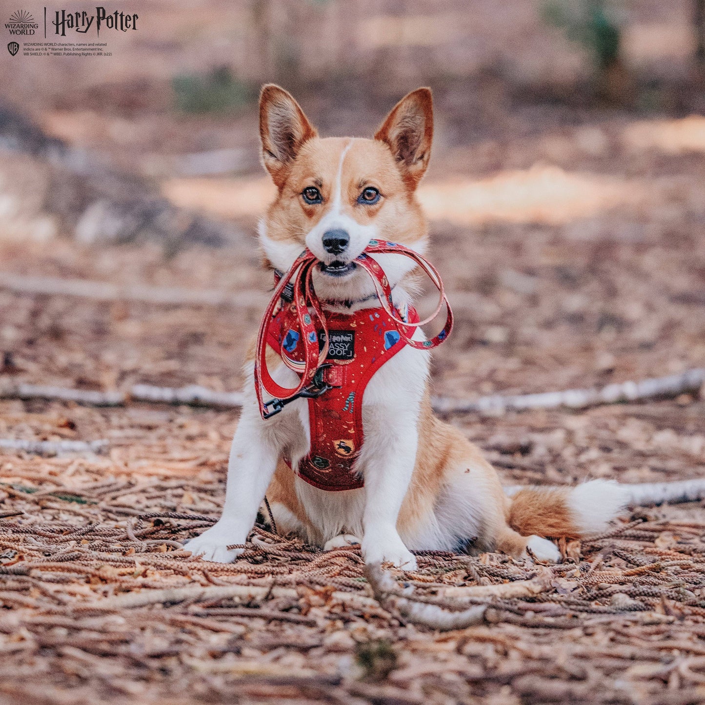 Dog Leash - Harry Potter™