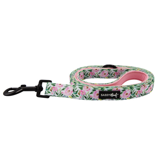 Dog Leash - Magnolia