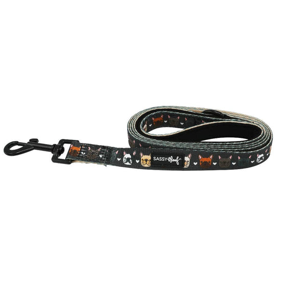 Fabric Leash - Fab Frenchies