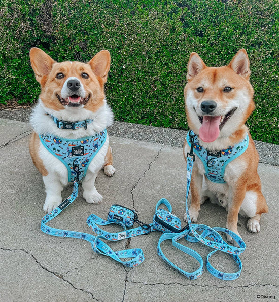 Dog Adjustable Harness - Disney's Stitch