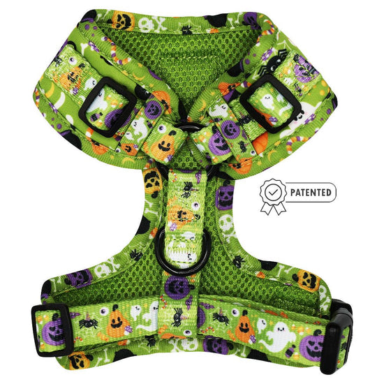 Dog Adjustable Halloween Harness - Haunt Mess