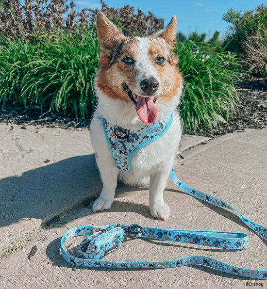 Dog Adjustable Harness - Disney's Stitch