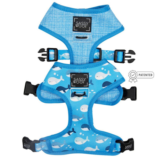 Dog Reversible Harness - Might as Whale