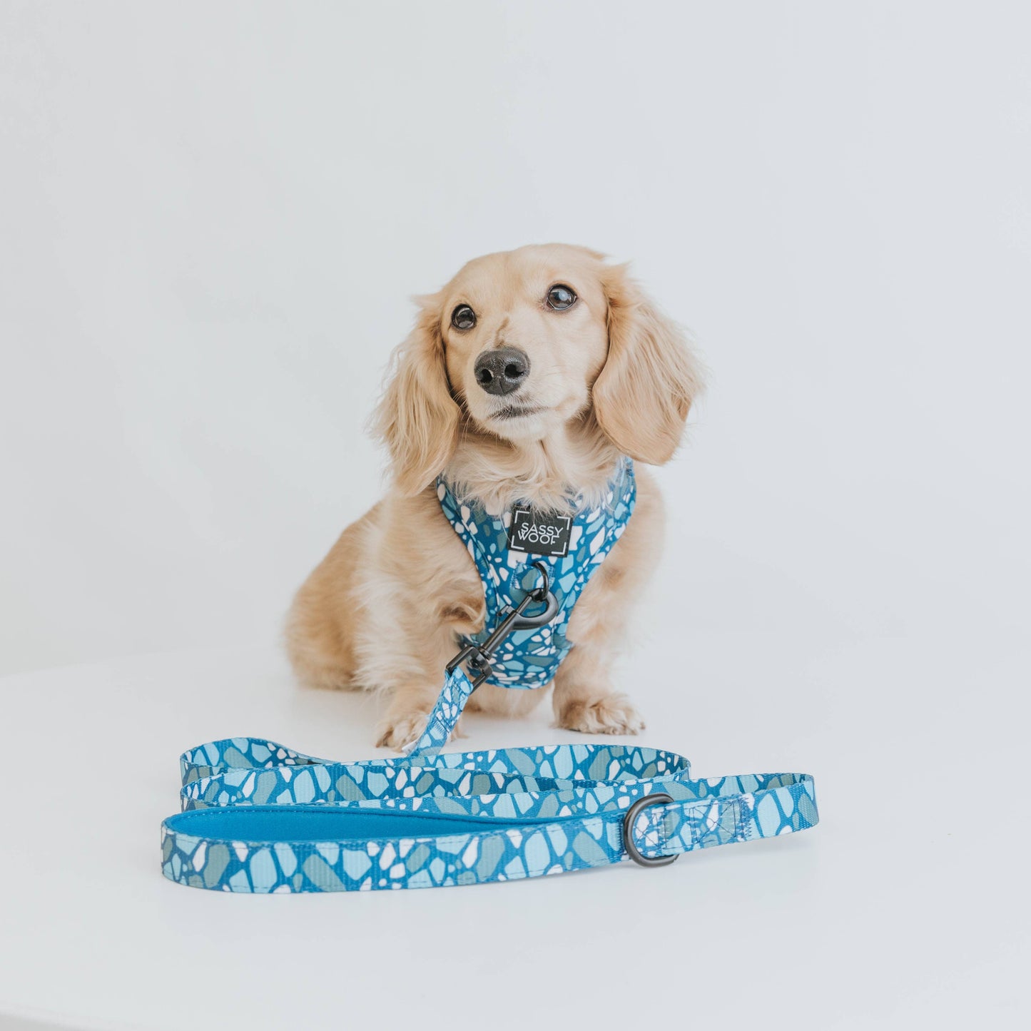 Dog Leash - Santorini