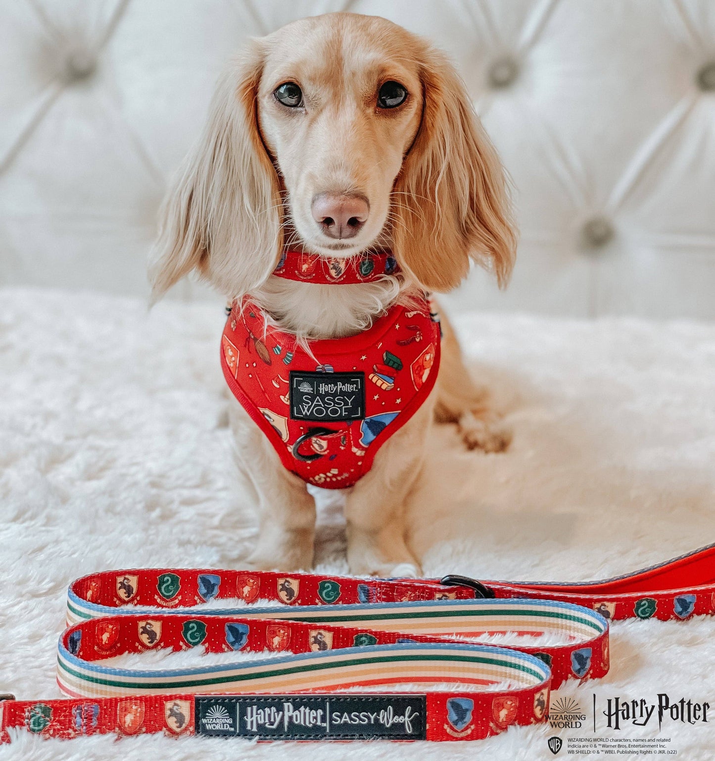 Dog Leash - Harry Potter™