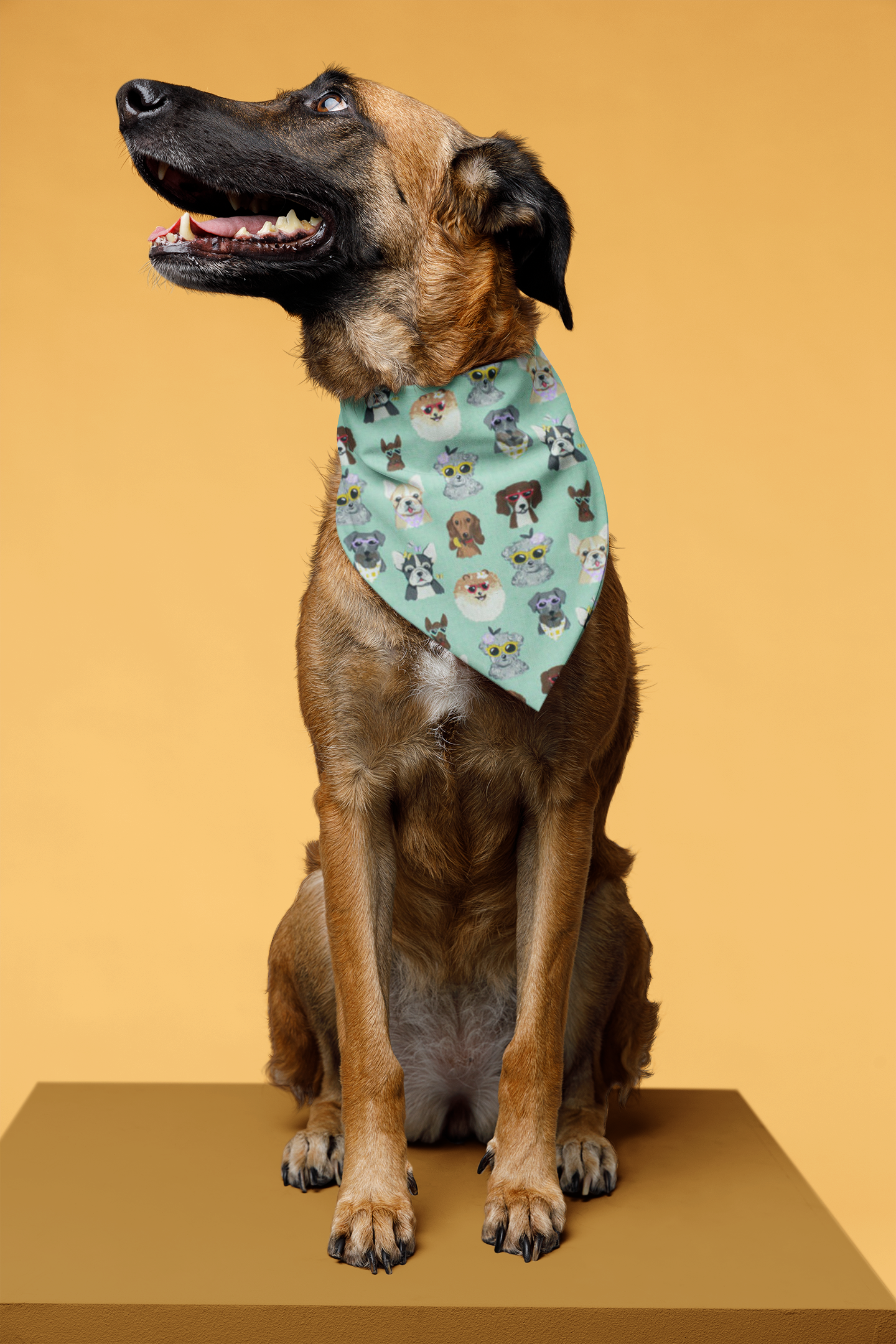 Dogs with Glasses Bandana