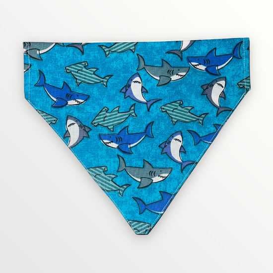 Sharks Bandana