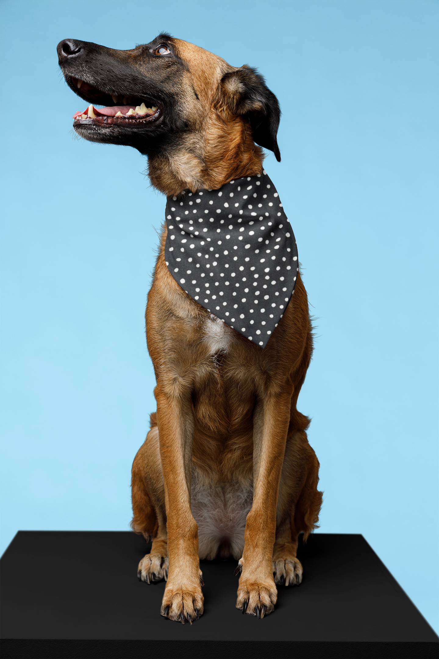 Black Dots Bandana